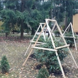 Jesenska njega i priprema rododendrona za zimu